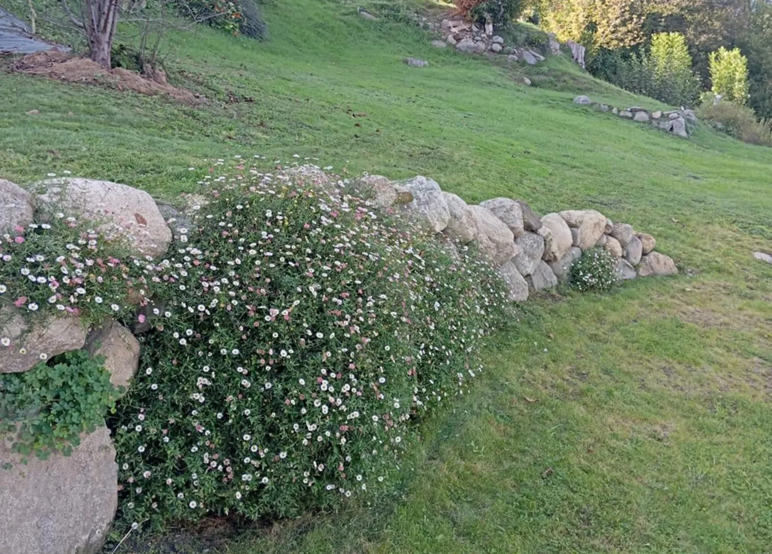 Villa Eden Des Pyrenees à Arcizans-Avant