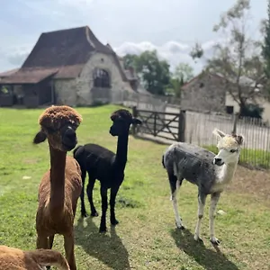 Hébergement de vacances La Borie, Fons (Lot)